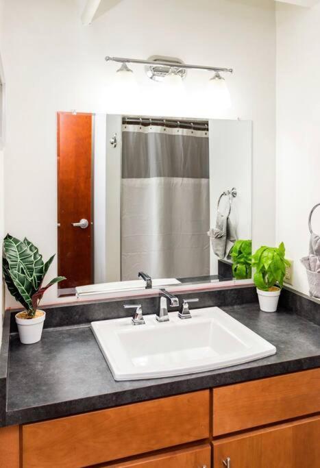 Centric Modern Loft W/ King Beds Apartment Rochester Exterior foto
